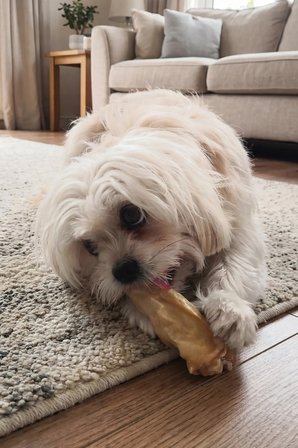 Kito Kurutulmuş Kuzu Kulak Çiğnemelik Köpek Ödül Maması Glutensiz, Organik 100 Gr