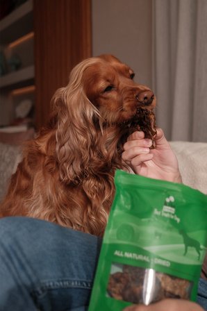 Kito Dana Akciğer Küp Atıştırmalık Köpek Ödül Maması  Glutensiz, Organik 100 Gr