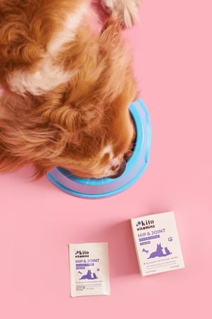 Kito Hip&joint Eklem ve Kas Sağlığı Destekleyici 2g X 15 Saşe