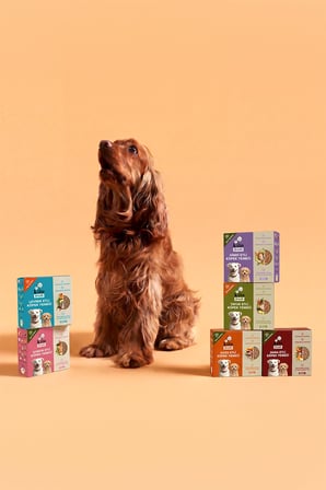 Kito Fresh Somon Etli Köpek Yemeği %100 Taze İçerikli Mama 250 gr