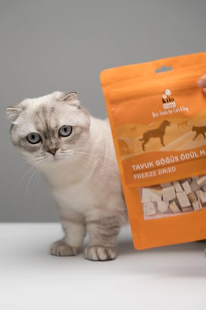 Kito Freeze Dried Tavuk Göğüs Ödül Maması 30 gr (Köpekler için)