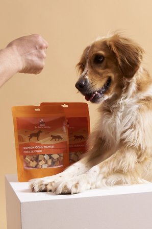 Kito Freeze Dried Somon Ödül Maması Köpekler İçin 