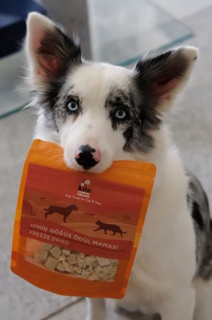 Kito Freeze Dried Hindi Göğüs Ödül Maması Köpekler İçin 
