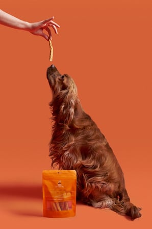 kito dana kuyruk çiğnemelik köpek ödül maması , glutensiz, organik 100 gr