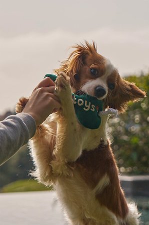 Kito Toys Kemik Peluş Köpek Oyuncağı