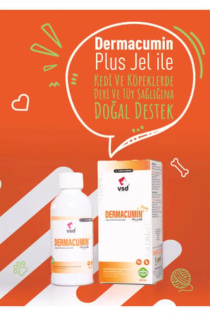 DERMACUMIN PLUS 100ml Jel Kedi ve Köpekler için Cilt Enfeksiyonları Desteği