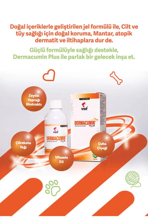 DERMACUMIN PLUS 100ml Jel Kedi ve Köpekler için Cilt Enfeksiyonları Desteği