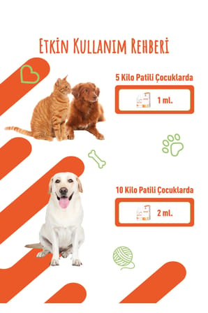 DERMACUMIN PLUS 100ml Jel Kedi ve Köpekler için Cilt Enfeksiyonları Desteği