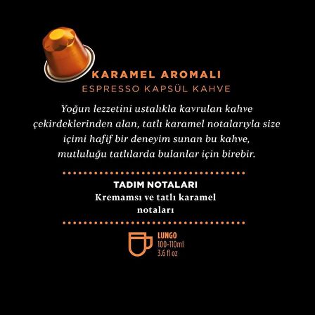 Kahve Dünyası Karamel Aromalı Kapsül Kahve 60 Kapsül