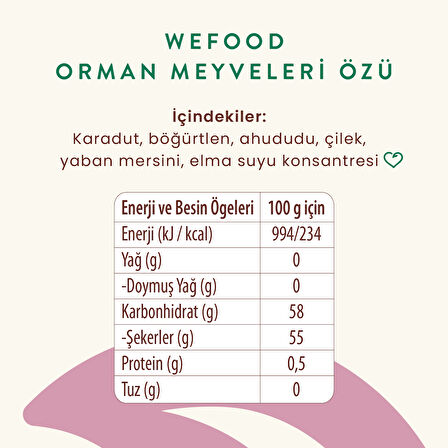Wefood Orman Meyveleri Özü 335 gr