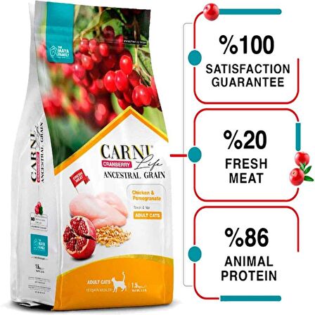 Carni Life Tavuk Nar ve Kızılcıklı Yetişkin Kedi Maması 1,5 Kg