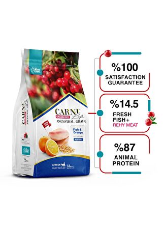 Carni Life Balık Portal Kızılcık Yavru Kedi Maması 5 Kg