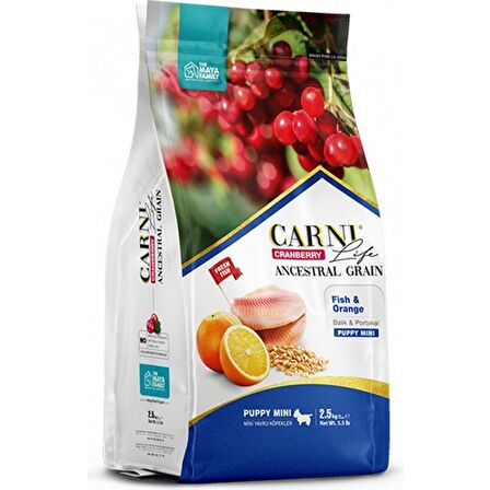 Carni Dog Puppy Balık/Portakal Köpek Maması 2.5 KG