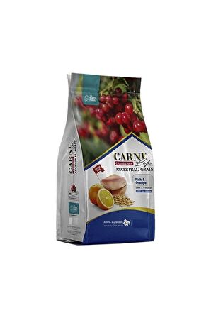 Carni Dog Puppy Balık/Portakal Köpek Maması 12 KG