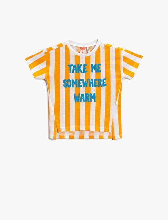 Çizgili Tişört Kısa Kollu Bisiklet Yaka Pamuklu