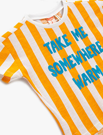 Çizgili Tişört Kısa Kollu Bisiklet Yaka Pamuklu