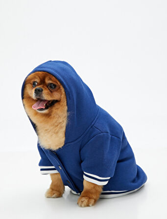 Kapüşonlu Köpek Sweatshirt Baskılı Ribanalı İçi Polarlı