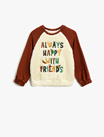 Peluş Triko Detaylı Sweat İşlemeli