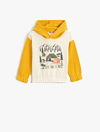 Ayıcık Baskılı Kapşonlu Sweat Renk Kontrastlı Manşetleri ve Beli Lastikli