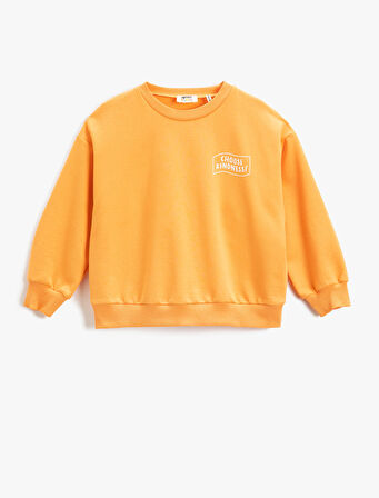 Basic Sweatshirt Baskılı Detaylı Uzun Kollu Bisiklet Yaka