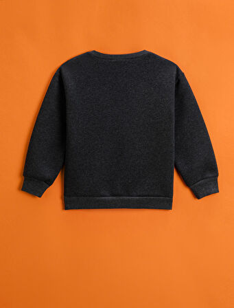 Baskılı Sweatshirt Bisiklet Yaka Uzun Kollu