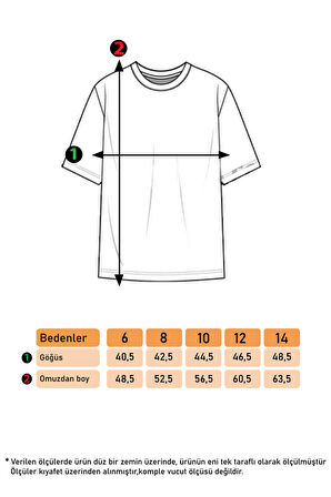 Toontoy Erkek Çocuk Baskılı Tişört