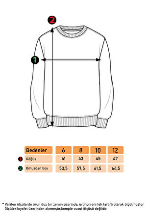 Toontoy Kız Çocuk Nakışlı Sweatshirt