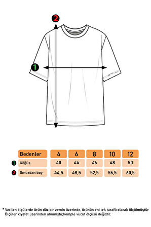 Toontoy Erkek Çocuk Tişört