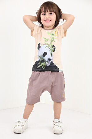 Toontoy Erkek Bebek Baskılı Şortlu Takım