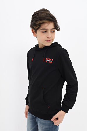 Toontoy Erkek Çocuk Sweatshirt