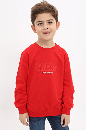 Toontoy Erkek Çocuk Baskılı Sweatshirt