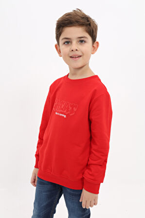 Toontoy Erkek Çocuk Baskılı Sweatshirt