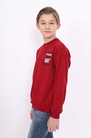 Toontoy Erkek Çocuk Baskılı Sweatshirt