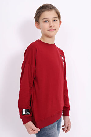 Toontoy Erkek Çocuk Baskılı Sweatshirt