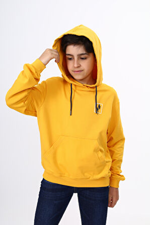 Toontoy Erkek Çocuk Baskılı Sweatshirt