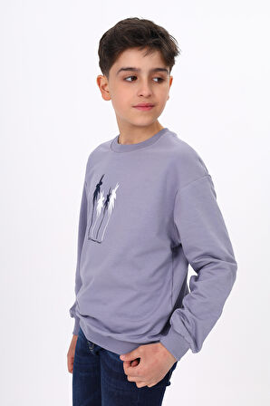 Toontoy Erkek Çocuk Baskılı Sweatshirt