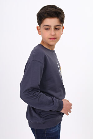 Toontoy Erkek Çocuk Baskılı Sweatshirt