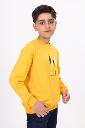 Toontoy Erkek Çocuk Baskılı Sweatshirt