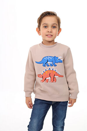 Toontoy Erkek Çocuk Nakışlı Sweatshirt