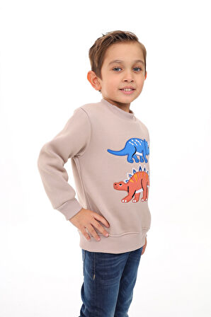 Toontoy Erkek Çocuk Nakışlı Sweatshirt