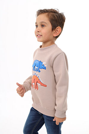 Toontoy Erkek Çocuk Nakışlı Sweatshirt