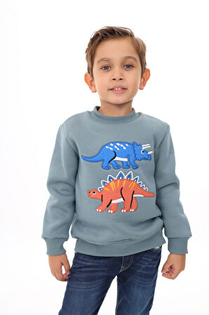 Toontoy Erkek Çocuk Nakışlı Sweatshirt