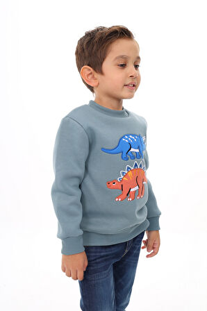 Toontoy Erkek Çocuk Nakışlı Sweatshirt