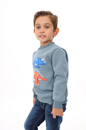 Toontoy Erkek Çocuk Nakışlı Sweatshirt