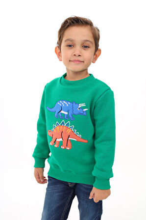 Toontoy Erkek Çocuk Nakışlı Sweatshirt