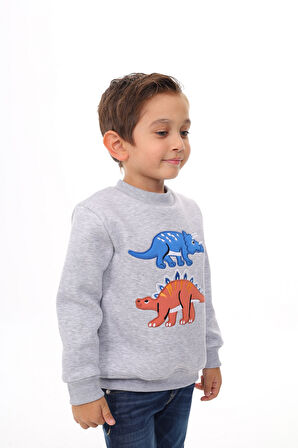 Toontoy Erkek Çocuk Nakışlı Sweatshirt