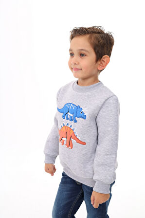 Toontoy Erkek Çocuk Nakışlı Sweatshirt