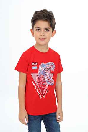 Toontoy Erkek Çocuk Baskılı Tişört