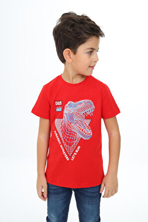 Toontoy Erkek Çocuk Baskılı Tişört
