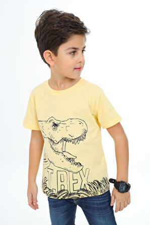 Toontoy Erkek Çocuk Baskılı Tişört
